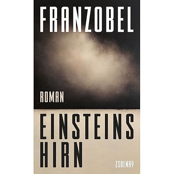 Einsteins Hirn, Franzobel