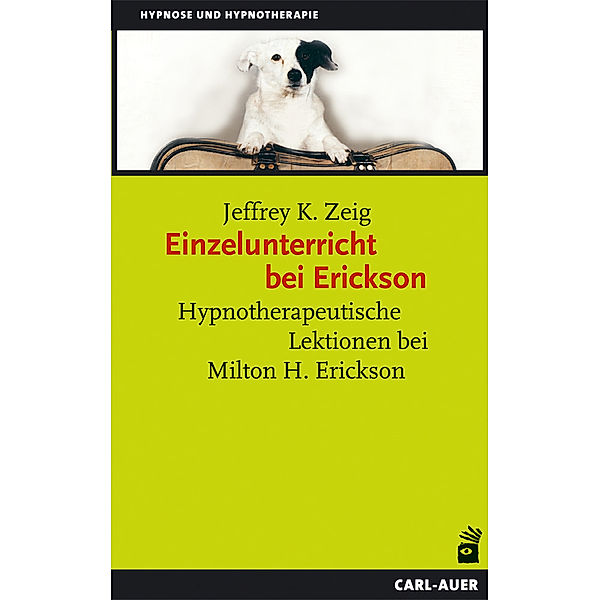 Einzelunterricht bei Erickson, Jeffrey K. Zeig