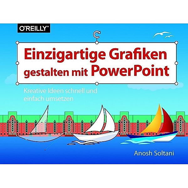 Einzigartige Grafiken gestalten mit PowerPoint, Anosh Soltani