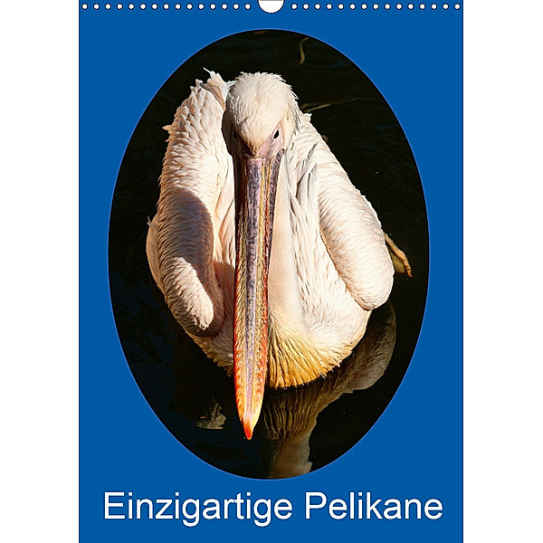 Einzigartige Pelikane (Wandkalender 2020 DIN A3 hoch)