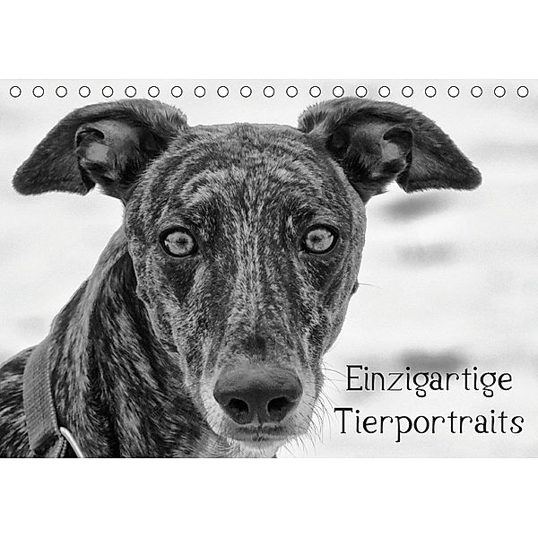 Einzigartige Tierportraits (Tischkalender 2019 DIN A5 quer), Kattobello