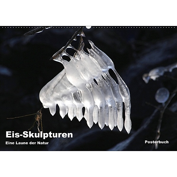 Eis-Skulpturen (PosterbuchDIN A2 quer), Gitti Furche