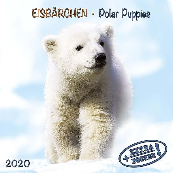 Eisbärchen - Polar Puppies 2020