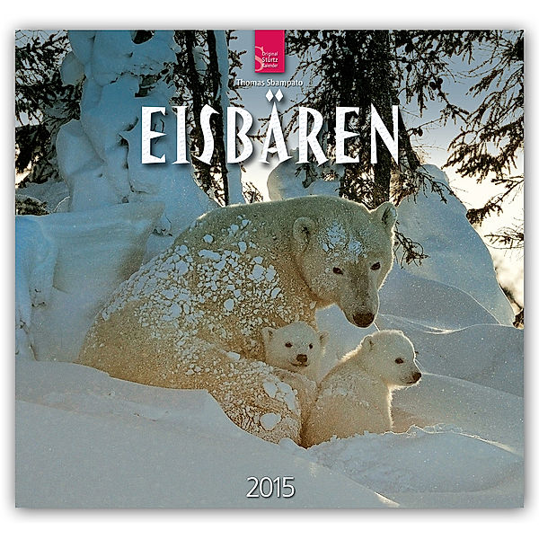 Eisbären 2015