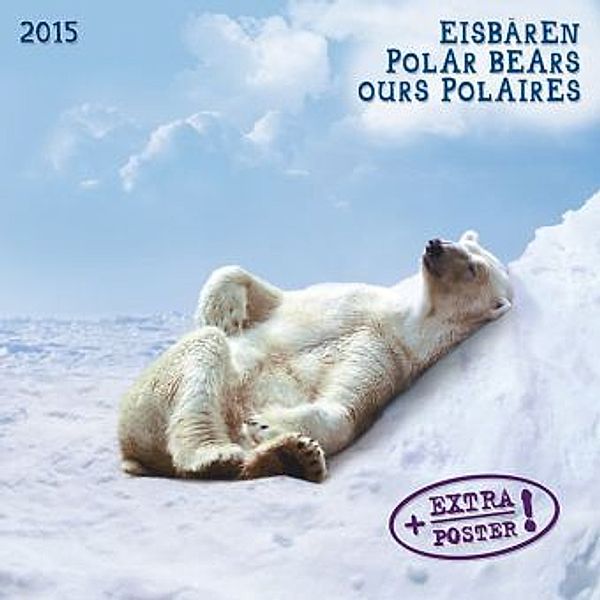Eisbären 2015. Polar Bears. Ours Polaires