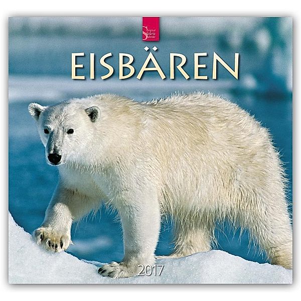 Eisbären 2017