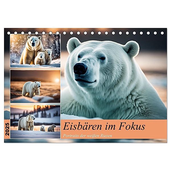 Eisbären im Fokus (Tischkalender 2025 DIN A5 quer), CALVENDO Monatskalender, Calvendo, Claudia Kleemann
