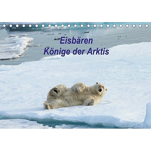 Eisbären - Könige der Arktis (Tischkalender 2017 DIN A5 quer), Heike Springer