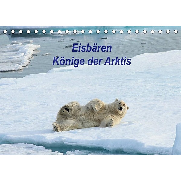 Eisbären - Könige der Arktis (Tischkalender 2023 DIN A5 quer), Heike Springer