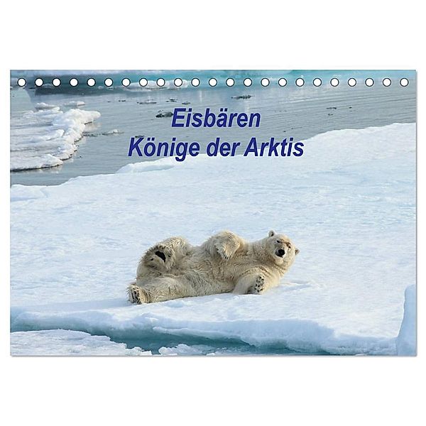 Eisbären - Könige der Arktis (Tischkalender 2024 DIN A5 quer), CALVENDO Monatskalender, Heike Springer