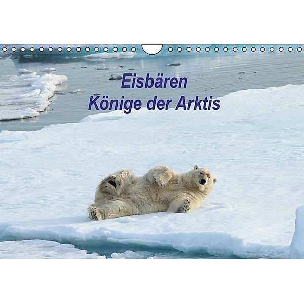 Eisbären - Könige der Arktis (Wandkalender 2017 DIN A4 quer), Heike Springer