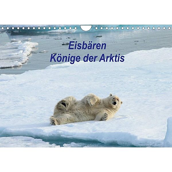 Eisbären - Könige der Arktis (Wandkalender 2023 DIN A4 quer), Heike Springer