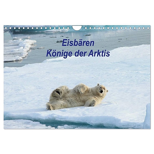 Eisbären - Könige der Arktis (Wandkalender 2024 DIN A4 quer), CALVENDO Monatskalender, Heike Springer