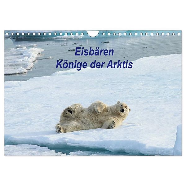 Eisbären - Könige der Arktis (Wandkalender 2025 DIN A4 quer), CALVENDO Monatskalender, Calvendo, Heike Springer
