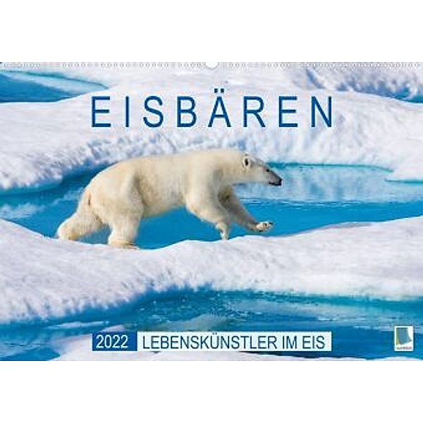 Eisbären: Lebenskünstler im Eis (Premium, hochwertiger DIN A2 Wandkalender 2022, Kunstdruck in Hochglanz), Calvendo