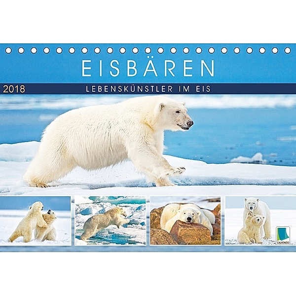 Eisbären: Lebenskünstler im Eis (Tischkalender 2018 DIN A5 quer) Dieser erfolgreiche Kalender wurde dieses Jahr mit glei, CALVENDO