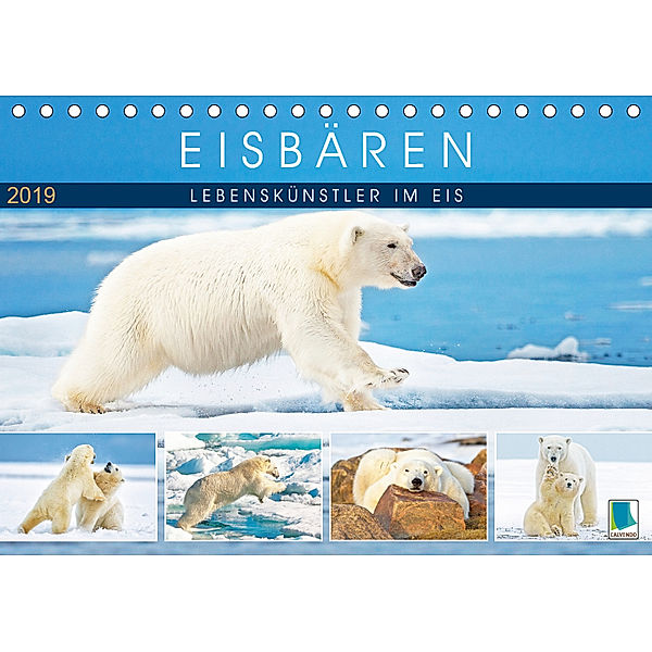 Eisbären: Lebenskünstler im Eis (Tischkalender 2019 DIN A5 quer), Calvendo