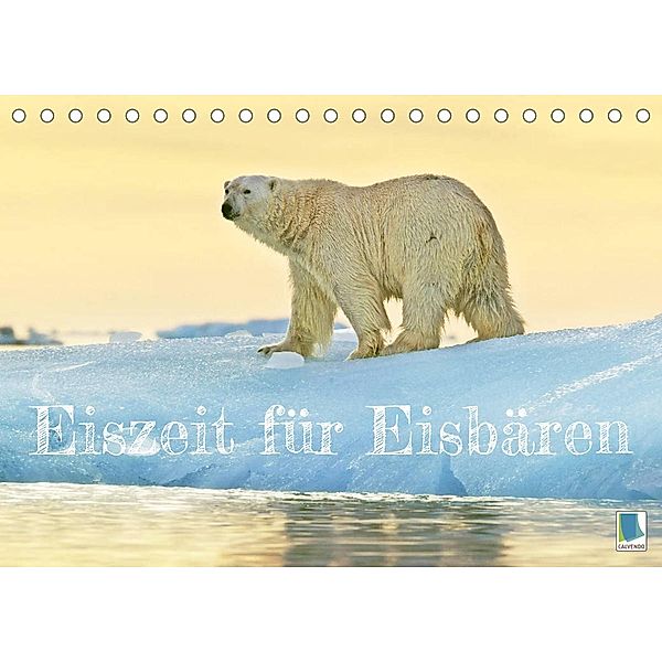 Eisbären: Lebenskünstler im Eis (Tischkalender 2022 DIN A5 quer), Calvendo