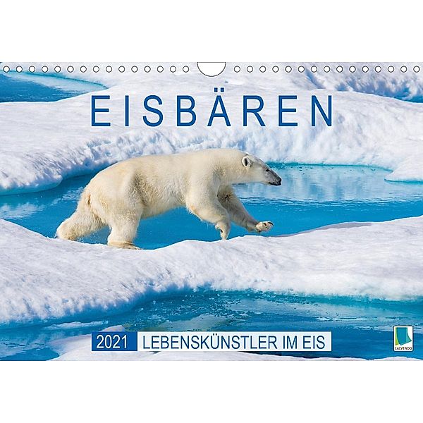 Eisbären: Lebenskünstler im Eis (Wandkalender 2021 DIN A4 quer), Calvendo