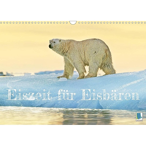 Eisbären: Lebenskünstler im Eis (Wandkalender 2022 DIN A3 quer), Calvendo