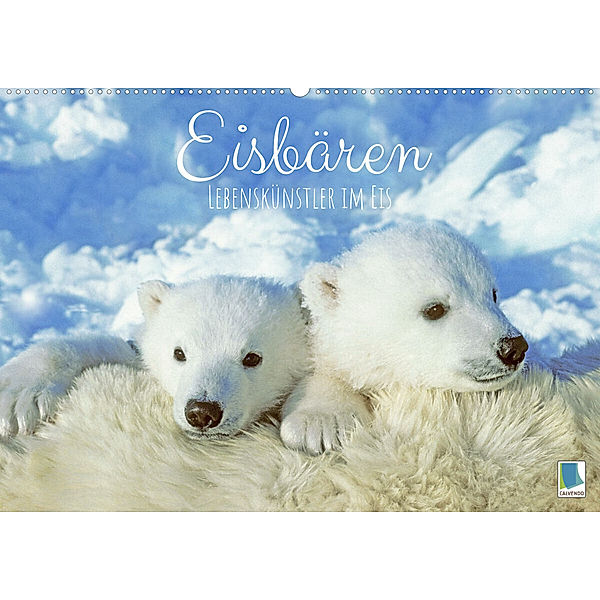 Eisbären: Lebenskünstler im Eis (Wandkalender 2023 DIN A2 quer), Calvendo