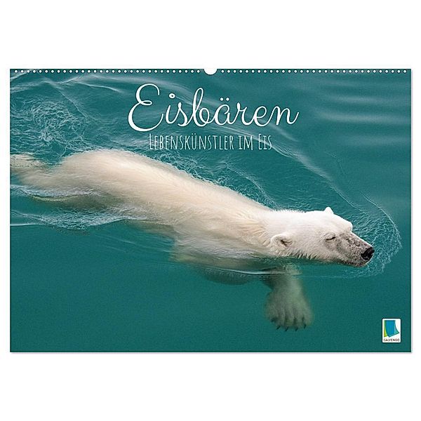 Eisbären: Lebenskünstler im Eis (Wandkalender 2024 DIN A2 quer), CALVENDO Monatskalender, Calvendo
