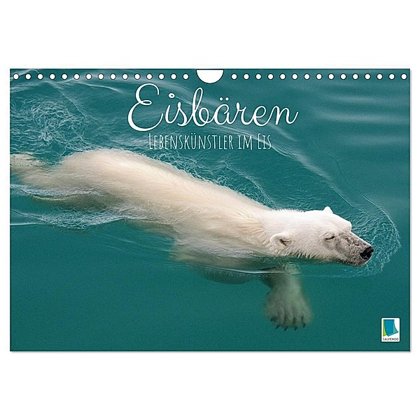 Eisbären: Lebenskünstler im Eis (Wandkalender 2024 DIN A4 quer), CALVENDO Monatskalender, Calvendo