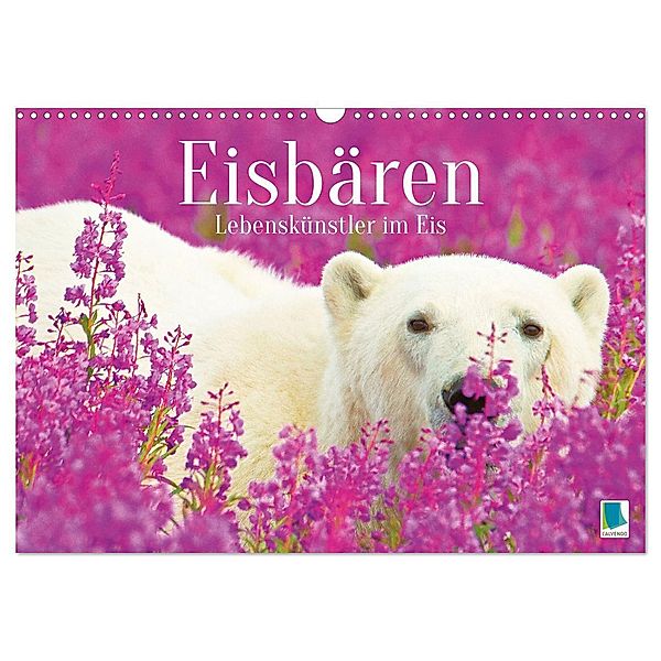 Eisbären: Lebenskünstler im Eis (Wandkalender 2025 DIN A3 quer), CALVENDO Monatskalender, Calvendo
