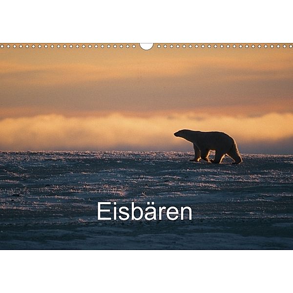 Eisbären (Posterbuch DIN A3 quer)