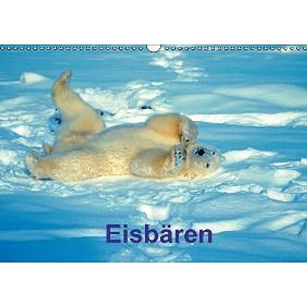 Eisbären (Wandkalender 2016 DIN A3 quer), Walz, Hummel