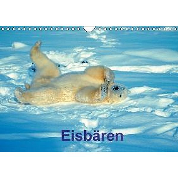 Eisbären (Wandkalender 2016 DIN A4 quer), Walz, Hummel