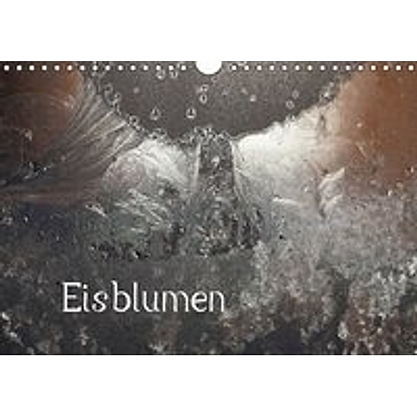 Eisblumen (Wandkalender 2016 DIN A4 quer), Günther Essbach
