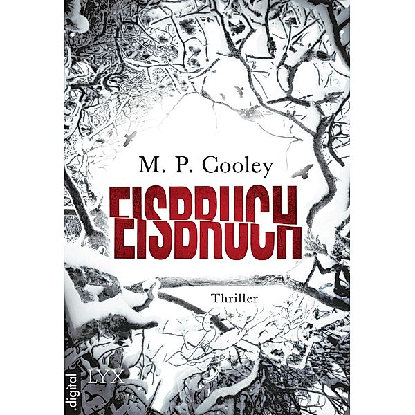 Eisbruch / Hopewell Falls, M. P. Cooley