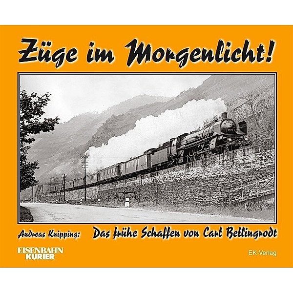 Eisenbahn-Kurier / Züge im Morgenlicht, Andreas Knipping