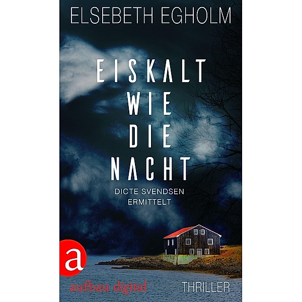 Eiskalt wie die Nacht / Dicte Svendsen ermittelt Bd.3, Elsebeth Egholm