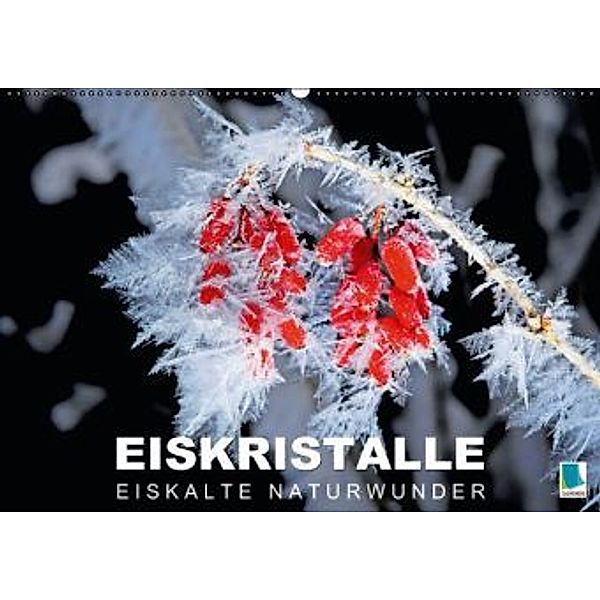 Eiskristalle Eiskalte Naturwunder (Wandkalender 2015 DIN A2 quer), Calvendo