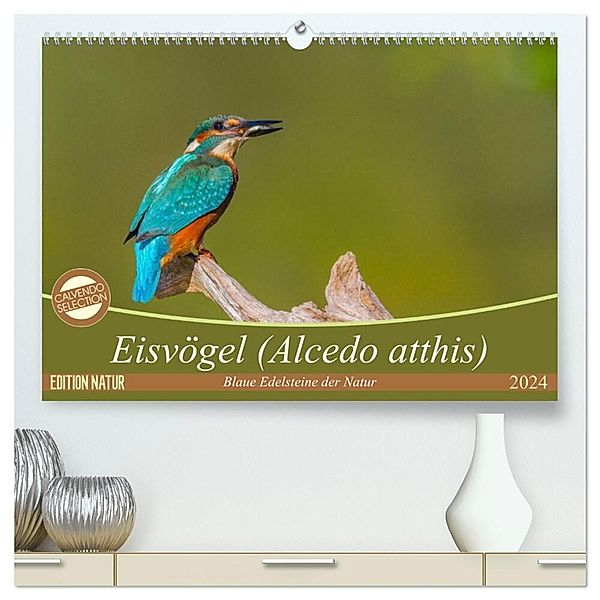 Eisvögel (Alcedo atthis) - Edelsteine der Natur (hochwertiger Premium Wandkalender 2024 DIN A2 quer), Kunstdruck in Hochglanz, Ursula Di Chito