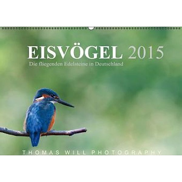 Eisvögel - Die fliegenden Edelsteine in Deutschland / 2015 (Wandkalender 2015 DIN A2 quer), Thomas Will