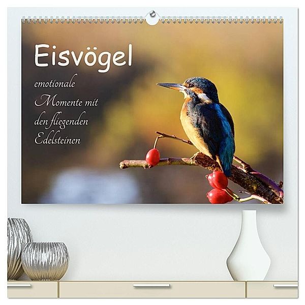 Eisvögel - emotionale Momente mit den fliegenden Edelsteinen (hochwertiger Premium Wandkalender 2024 DIN A2 quer), Kunstdruck in Hochglanz, Jens Kalanke