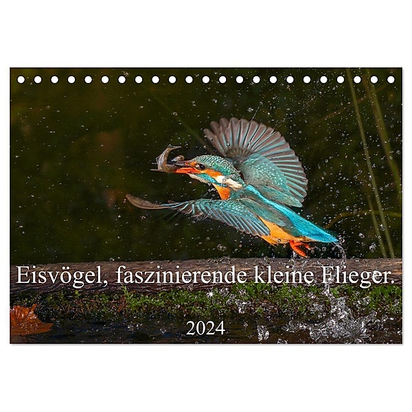 Eisvögel, faszinierende kleine Flieger. (Tischkalender 2024 DIN A5 quer), CALVENDO Monatskalender, Wiebke von der Heyde