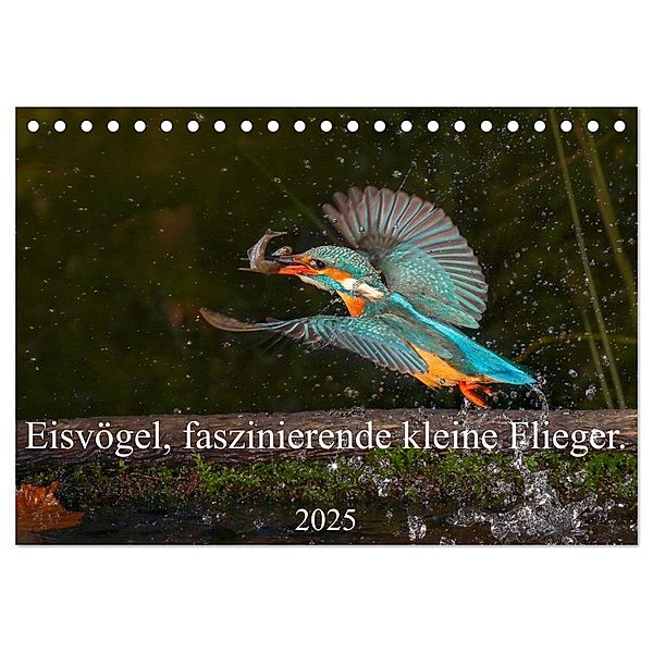 Eisvögel, faszinierende kleine Flieger. (Tischkalender 2025 DIN A5 quer), CALVENDO Monatskalender, Calvendo, Wiebke von der Heyde