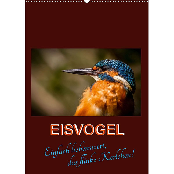 Eisvogel - einfach liebenswert, das flinke Kerlchen (Wandkalender 2019 DIN A2 hoch), Carl-Peter Herbolzheimer