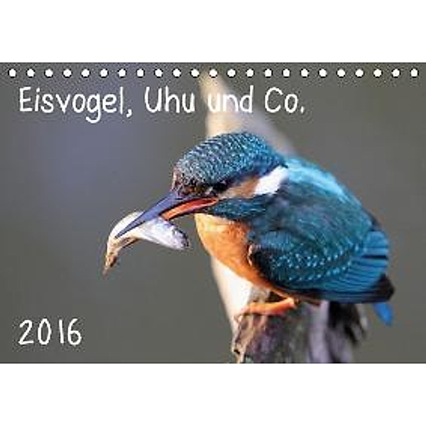Eisvogel, Uhu und Co. (Tischkalender 2016 DIN A5 quer), Jan Allnoch