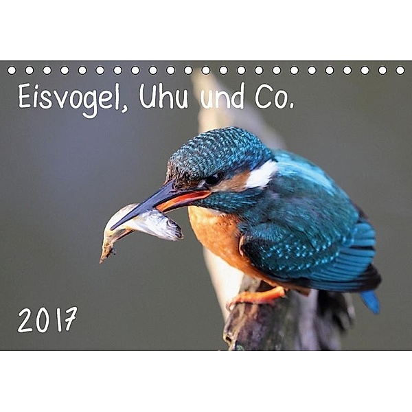 Eisvogel, Uhu und Co. (Tischkalender 2017 DIN A5 quer), Jan Allnoch