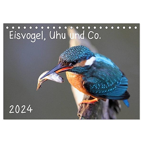 Eisvogel, Uhu und Co. (Tischkalender 2024 DIN A5 quer), CALVENDO Monatskalender, Jan Allnoch