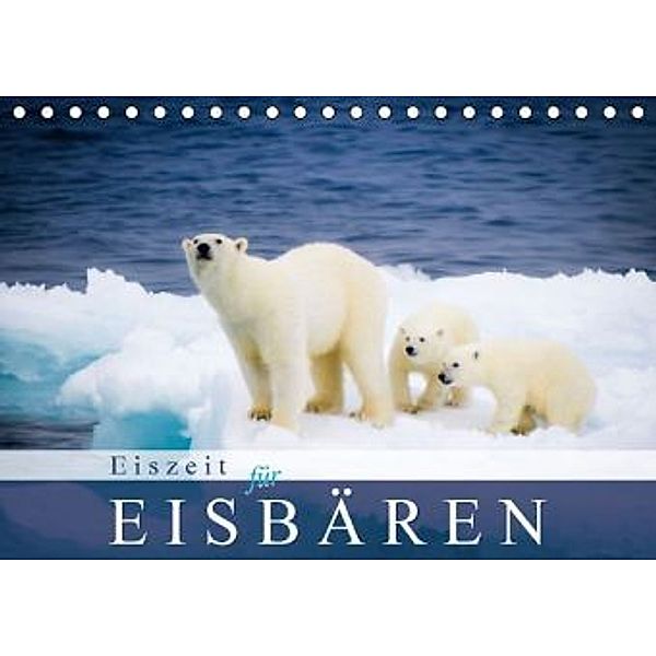 Eiszeit für Eisbären (Tischkalender 2015 DIN A5 quer), Calvendo