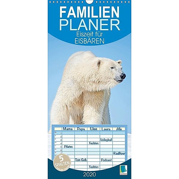 Eiszeit für Eisbären (Wandkalender 2020 , 21 cm x 45 cm, hoch), Calvendo