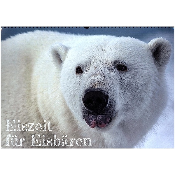 Eiszeit für Eisbären (Wandkalender 2023 DIN A3 quer), Calvendo