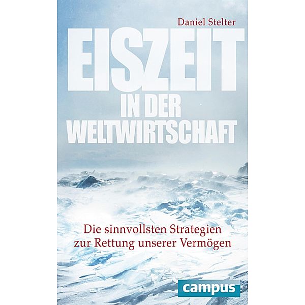 Eiszeit in der Weltwirtschaft, Daniel Stelter