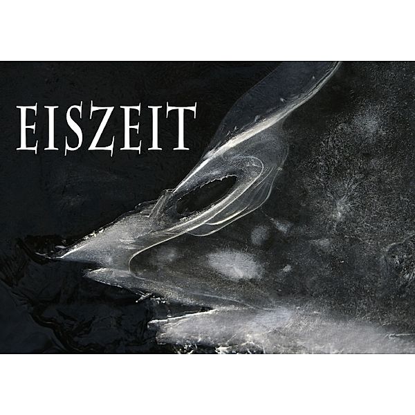 Eiszeit (Posterbuch DIN A3 quer), Maria Reichenauer